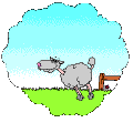 [sheep:)]